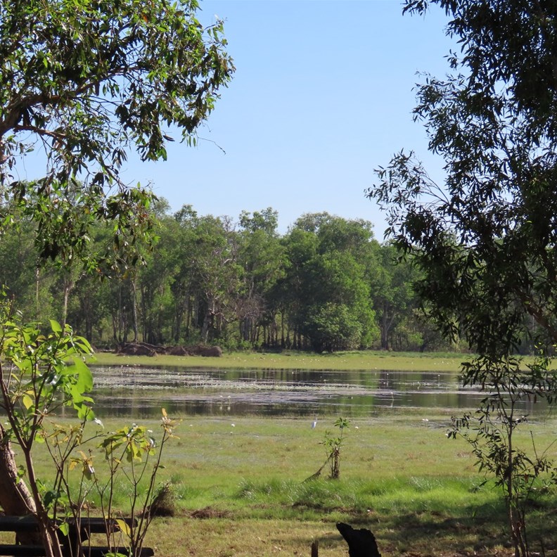 Anbangbang Billabong