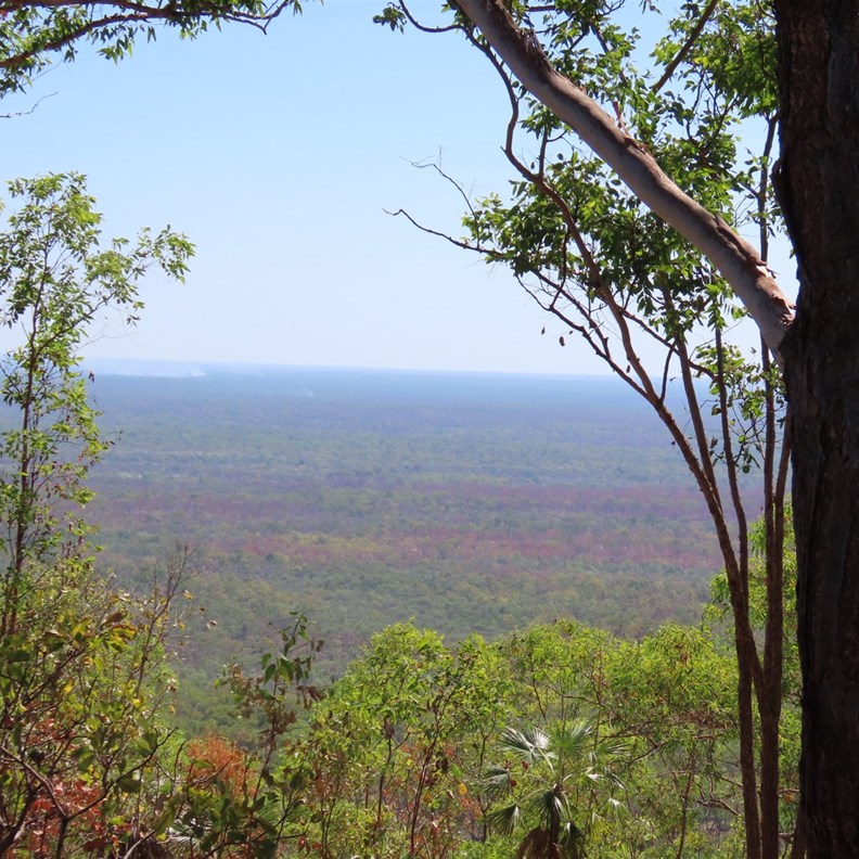 Mirray Lookout