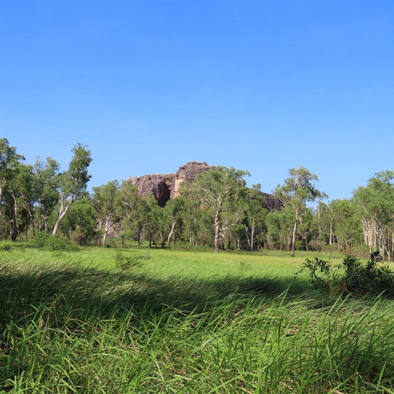 Walking beside East Alligator River