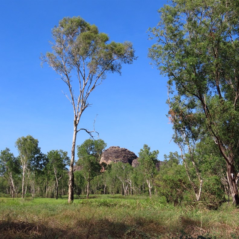 Walking beside East Alligator River 2