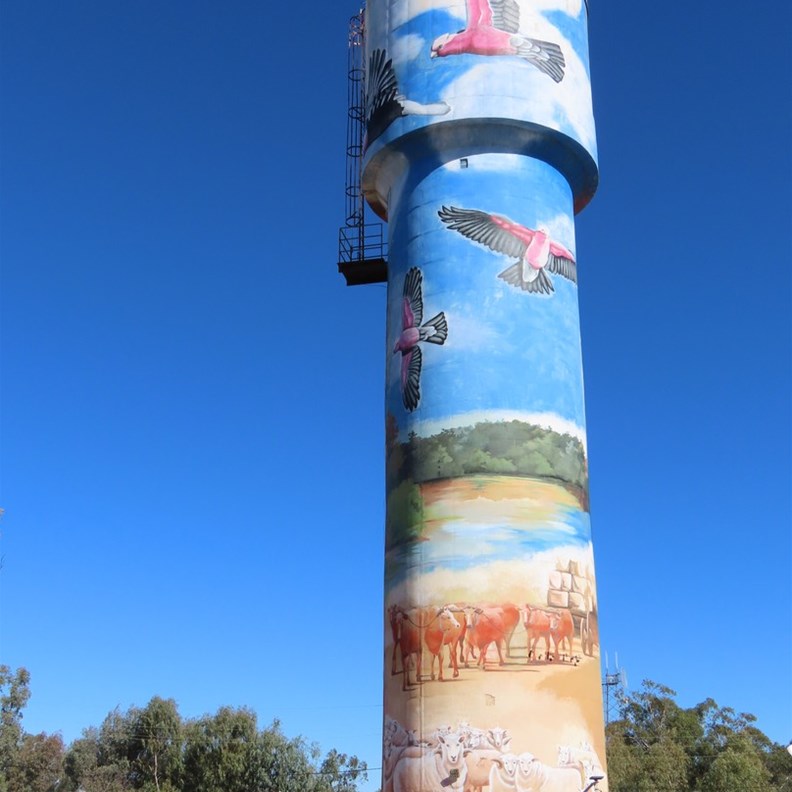 Augathella Silo Art 2