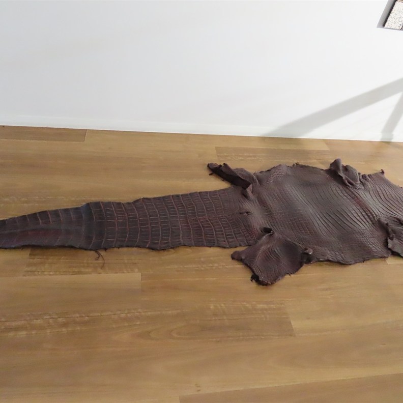 Crocodile Skin