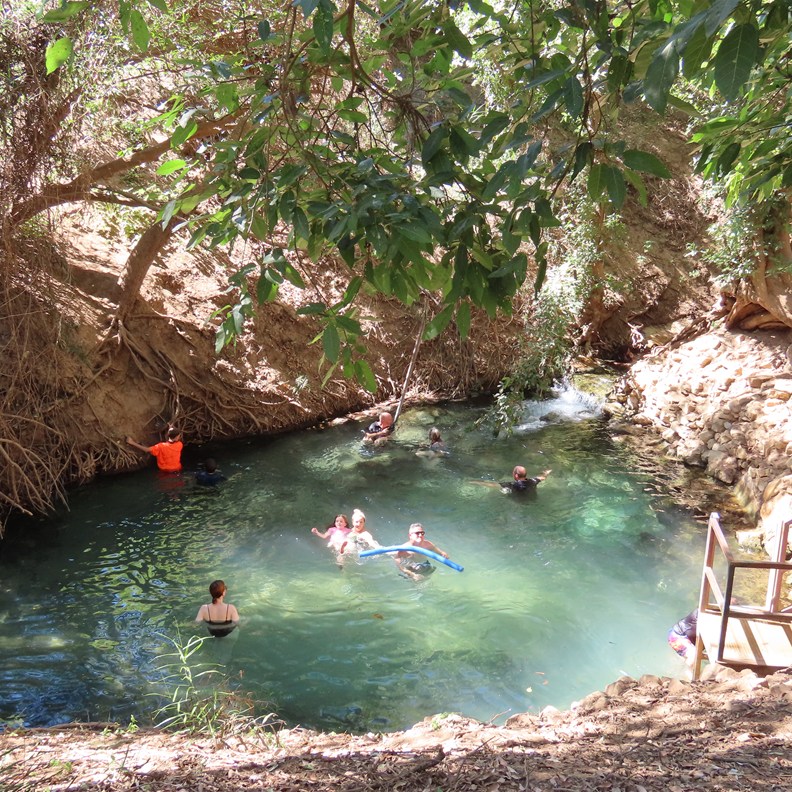 Katherine hot springs