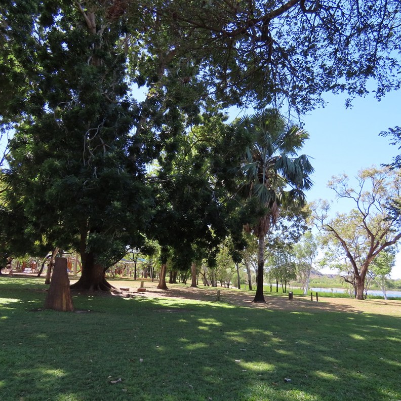 Celebrity Tree Park