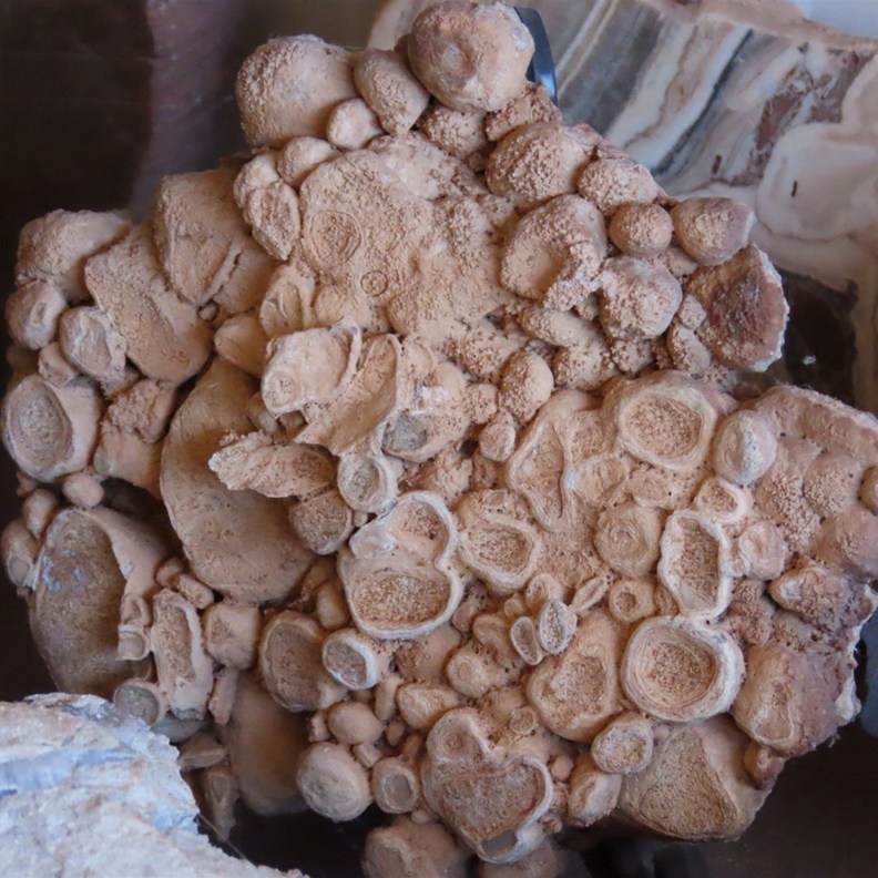 Another Amazing Stone