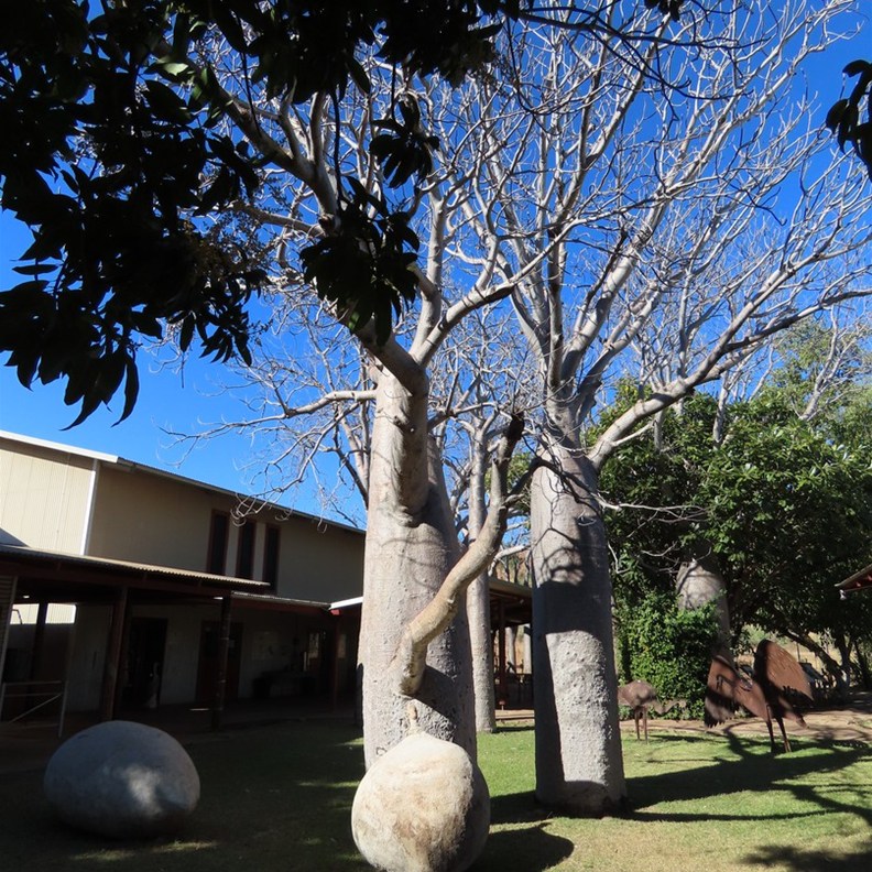 Waringarri Aboriginal Arts