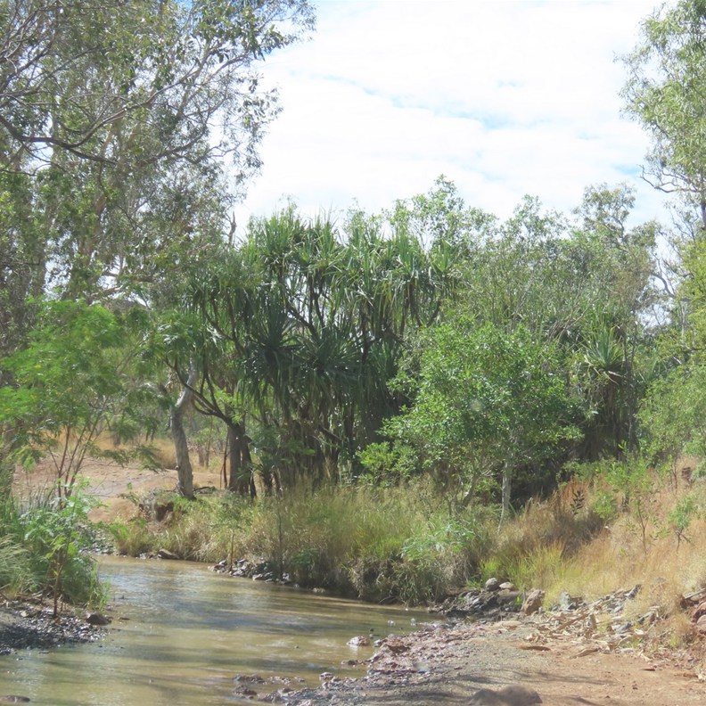 Another Creek Crossing