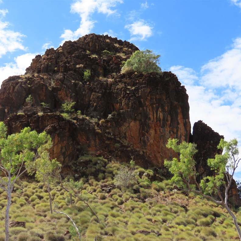 Way into the Bungles