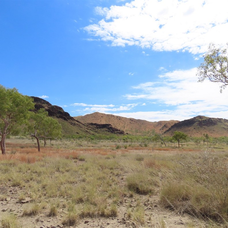 On the way to the Bungles