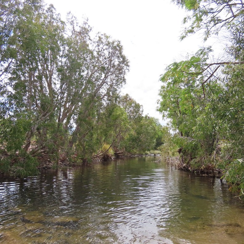Frank River Crossing