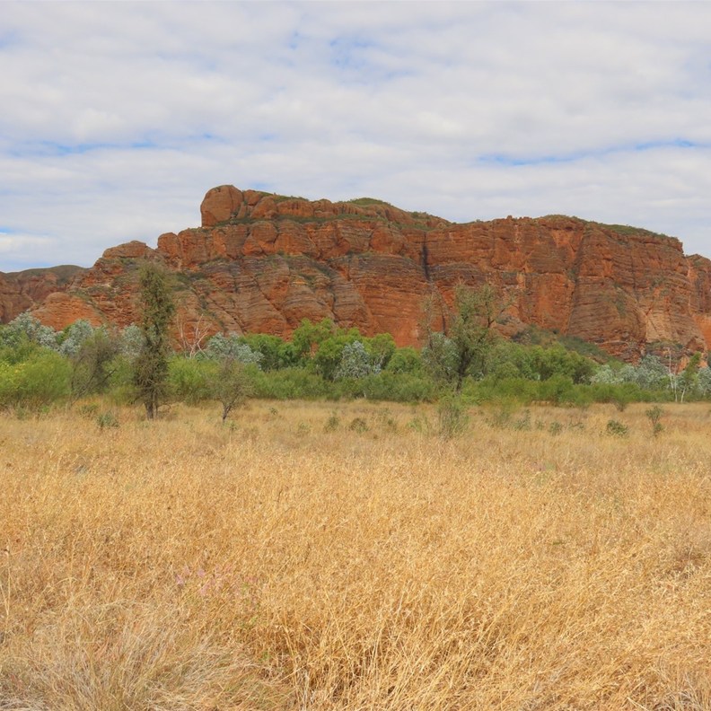On the way into the Bungles