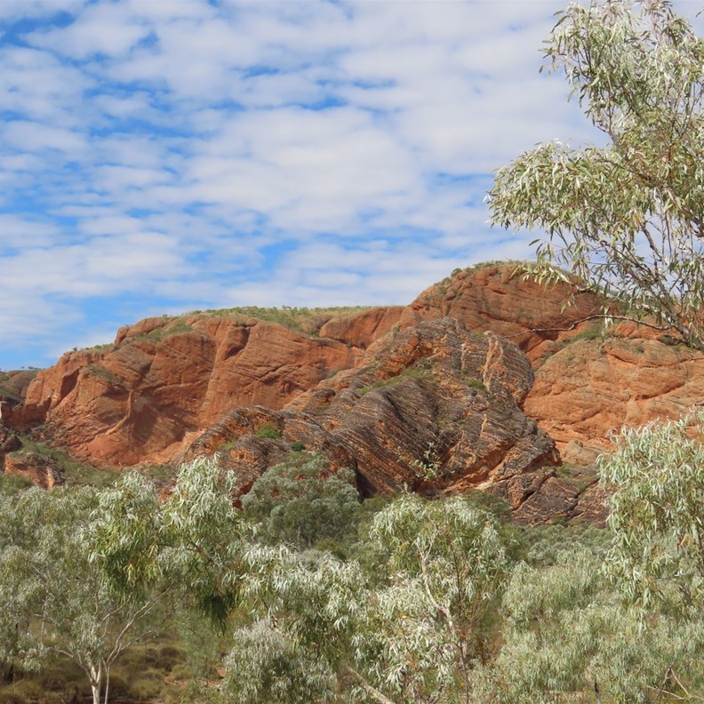 Mini Palms Gorge Walk