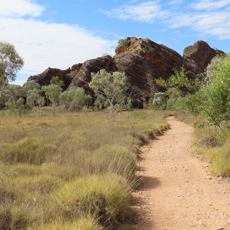 Mini Palms Gorge Walk 2