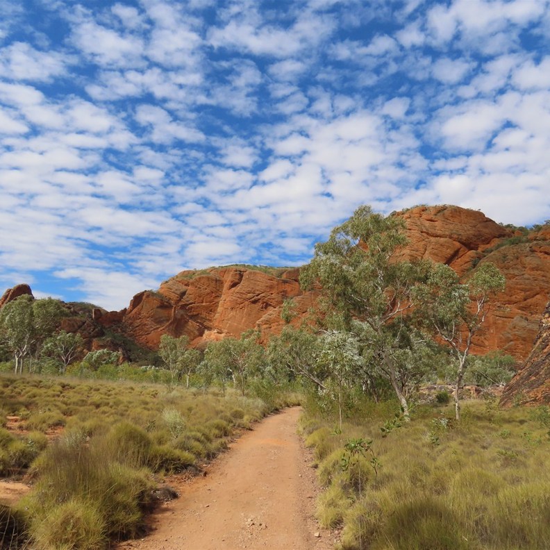 Mini Palms Gorge Walk 3