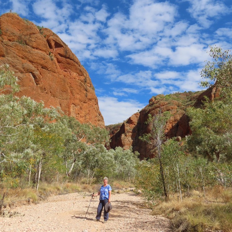 Mini Palms Gorge Walk 4