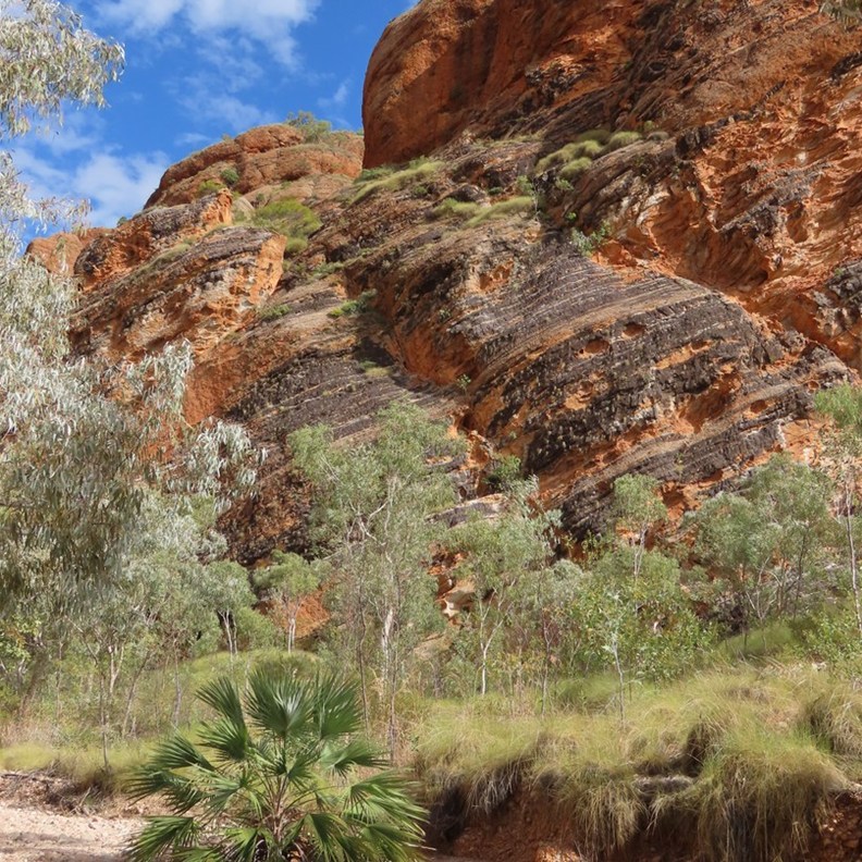Mini Palms Gorge Walk 5