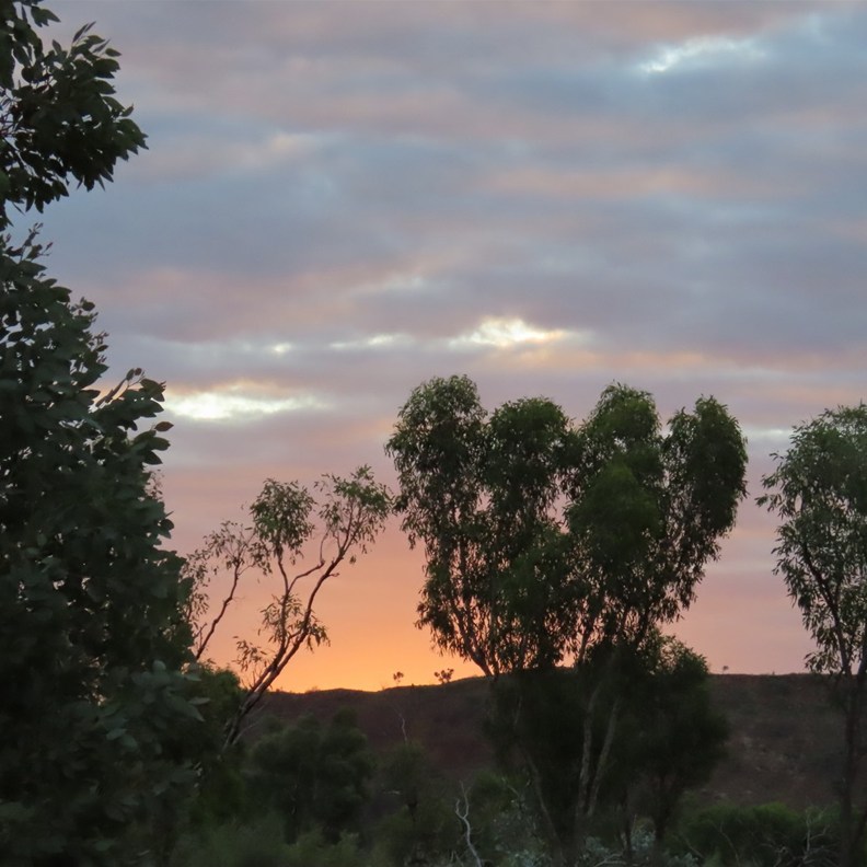 The setting sun 