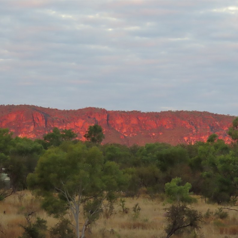 The colour on the rocks from the sunset