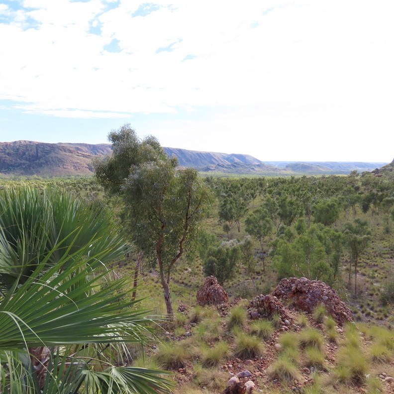 Osmond Lookout 2