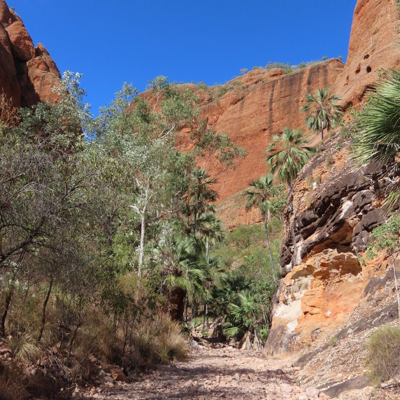Beginning of the chasm