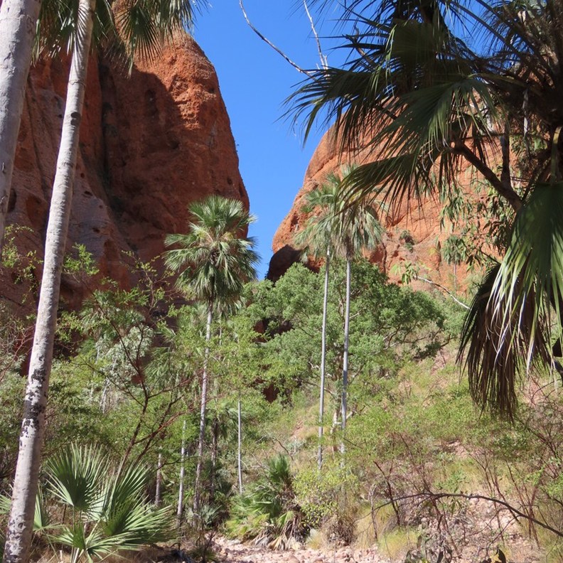 Beginning of the chasm 2