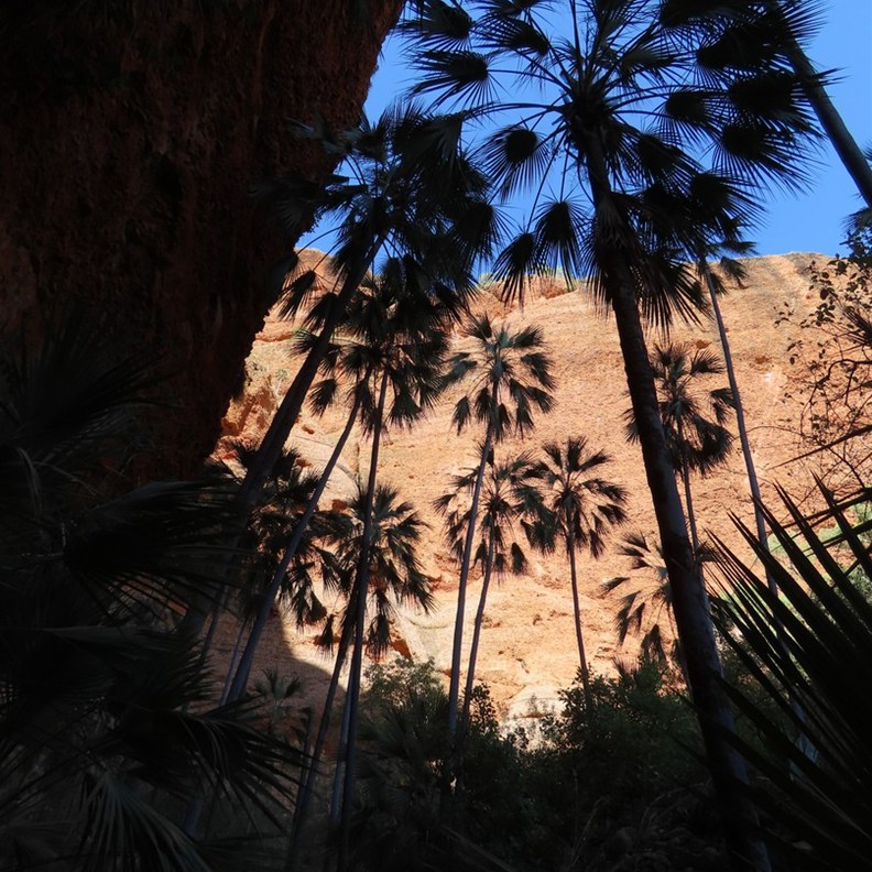 Beginning of the chasm 5