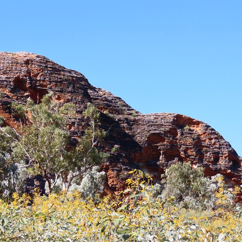 Elephant Rock