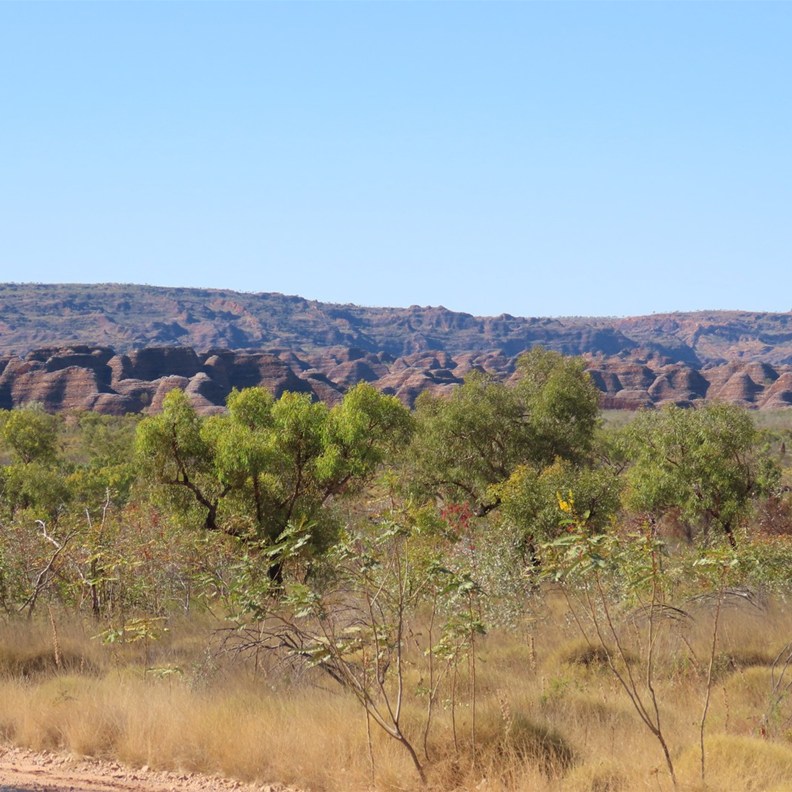 Drive to Piccaninny 2