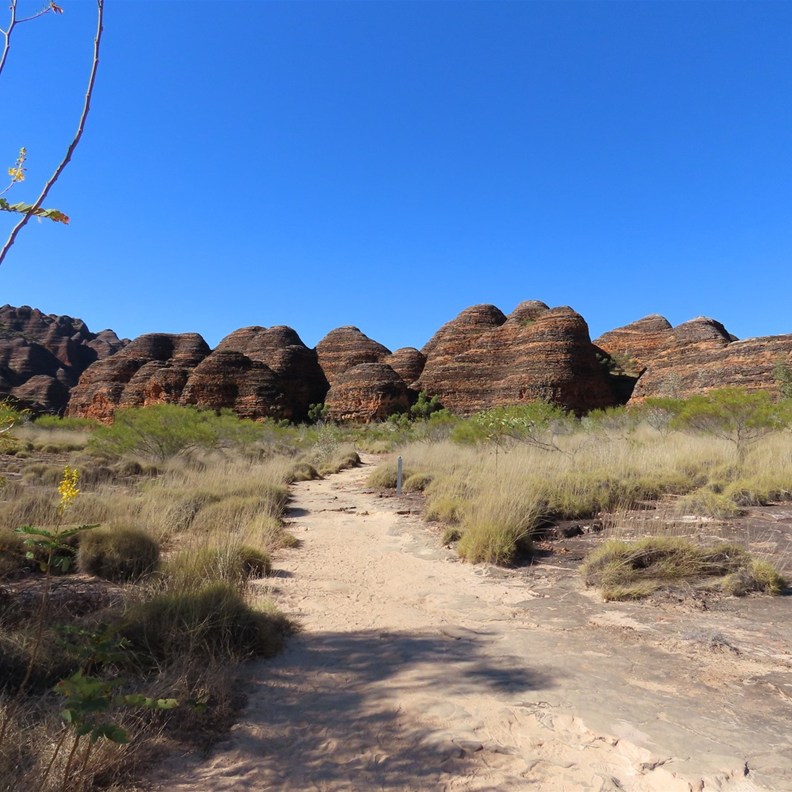 The Domes