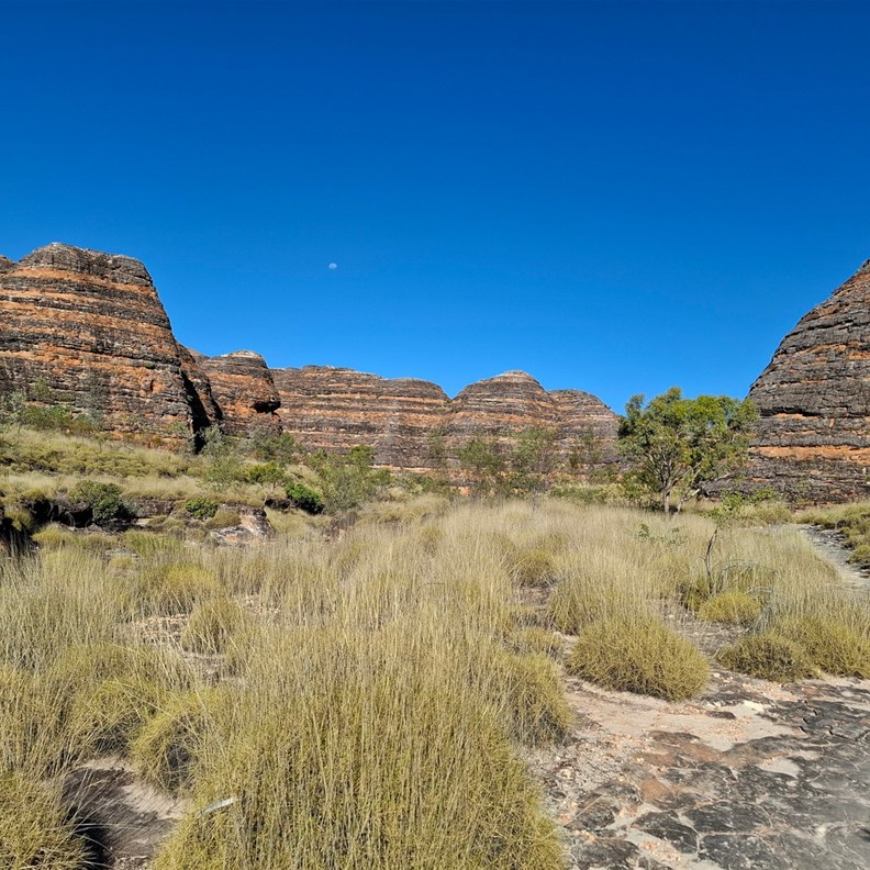 The Domes 4