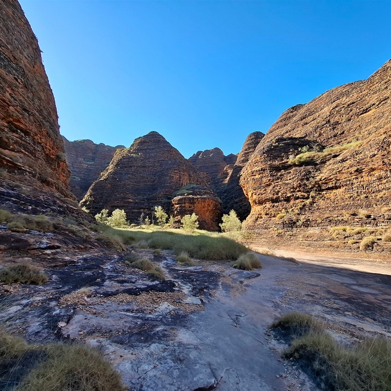 The Domes 8