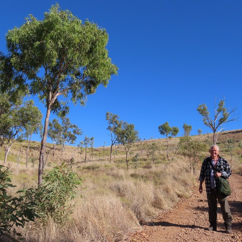 Walking up to the lookout.