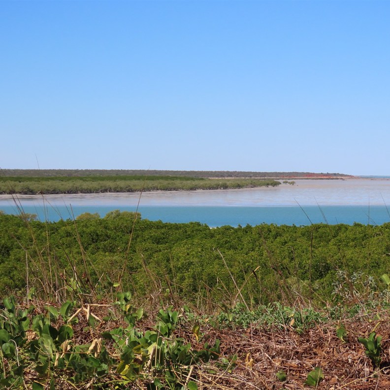 Roebuck Bay Lookout 2