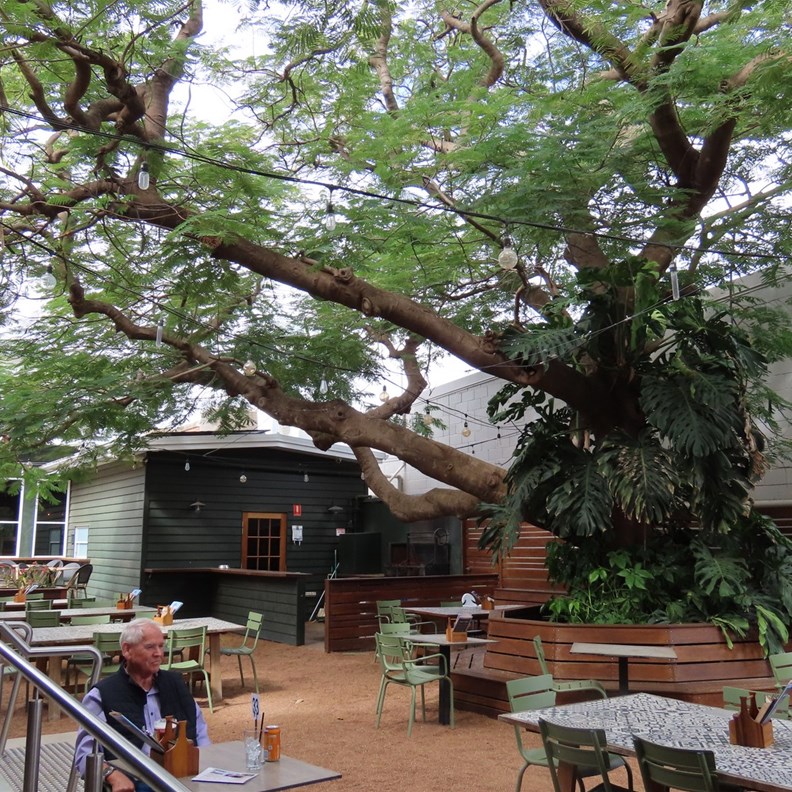 Lovely Beer Garden for Lunch