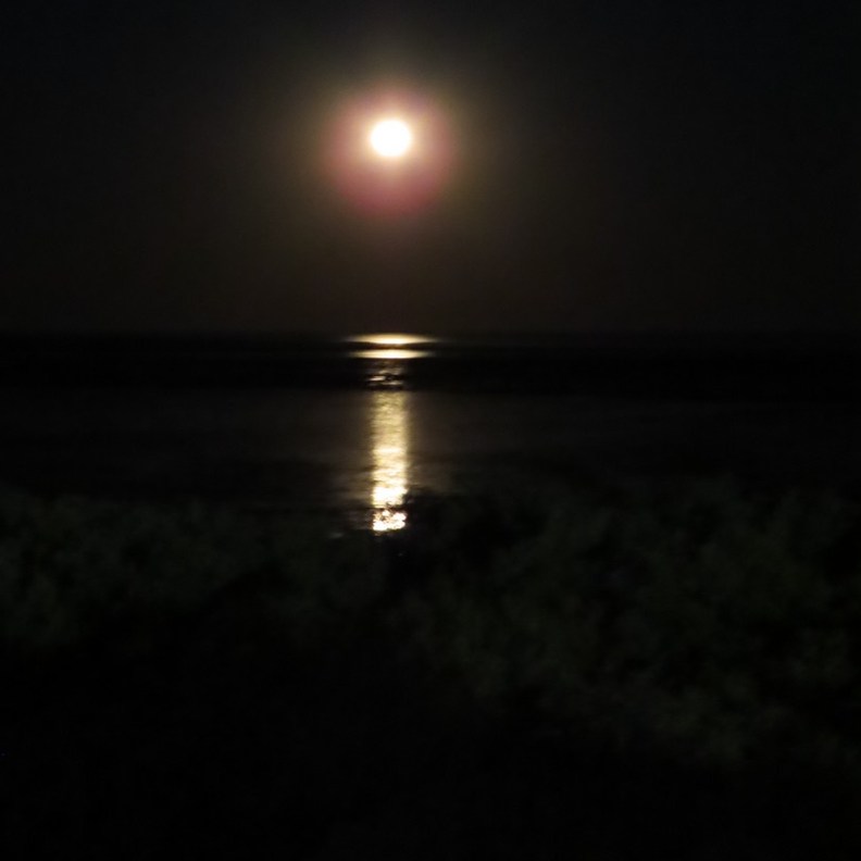 Staircase to the Moon 3