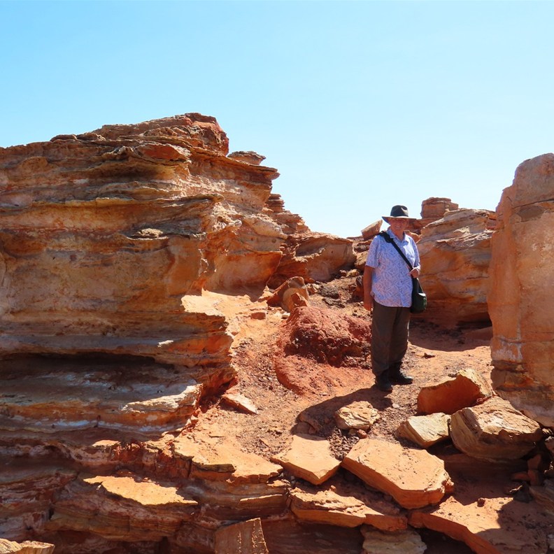 Gantheaume Point 2