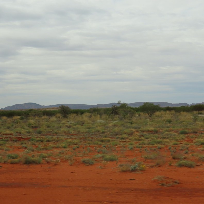 Open Plains