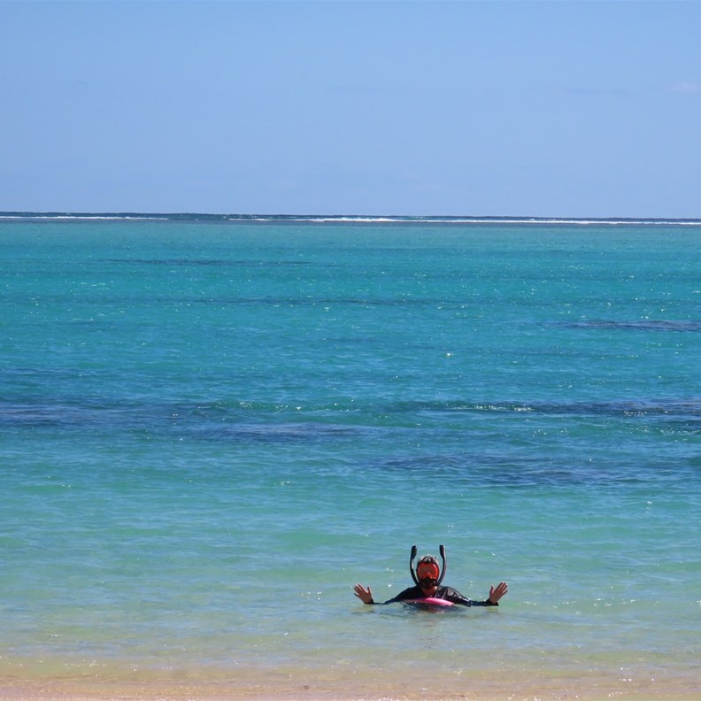 A great snorkel today
