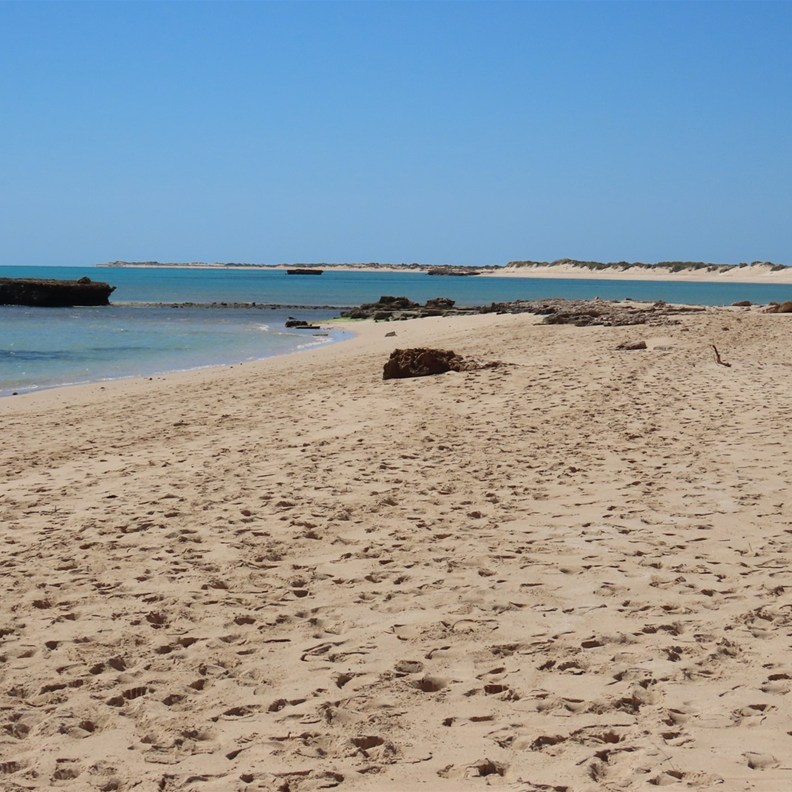 Lakeside Snorkelling 3