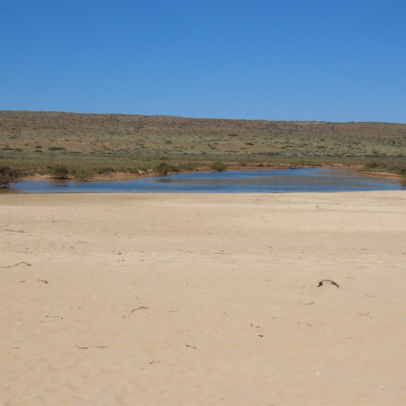 Lakeside Snorkelling 4
