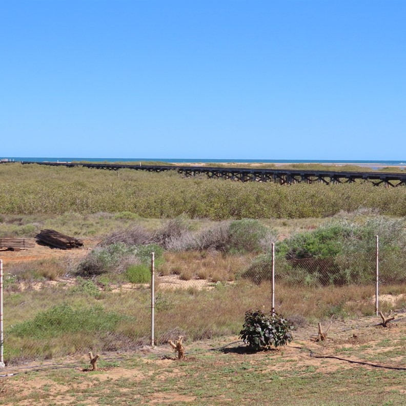 Remains of One Mile Jetty
