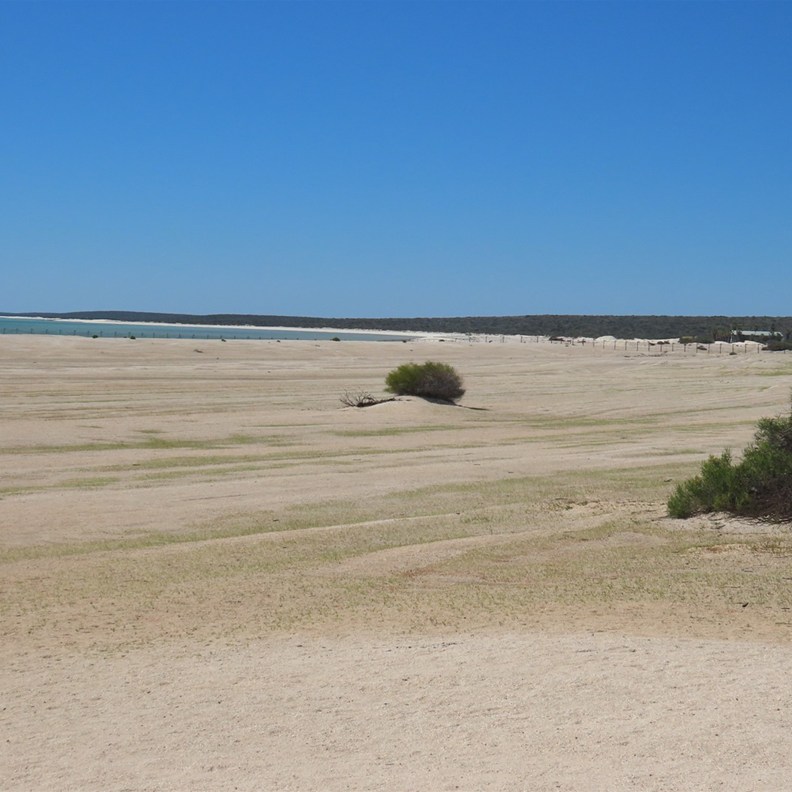 Shell Beach 2