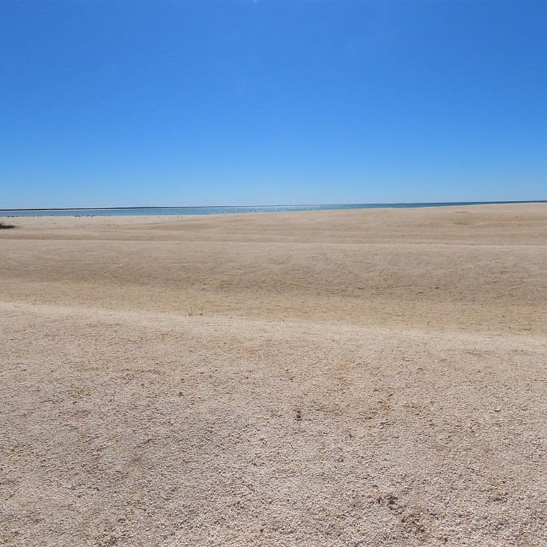 Shell Beach 5