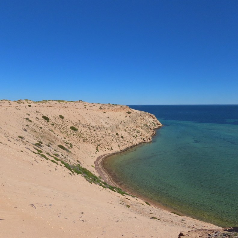 Eagle Bluff Lookout