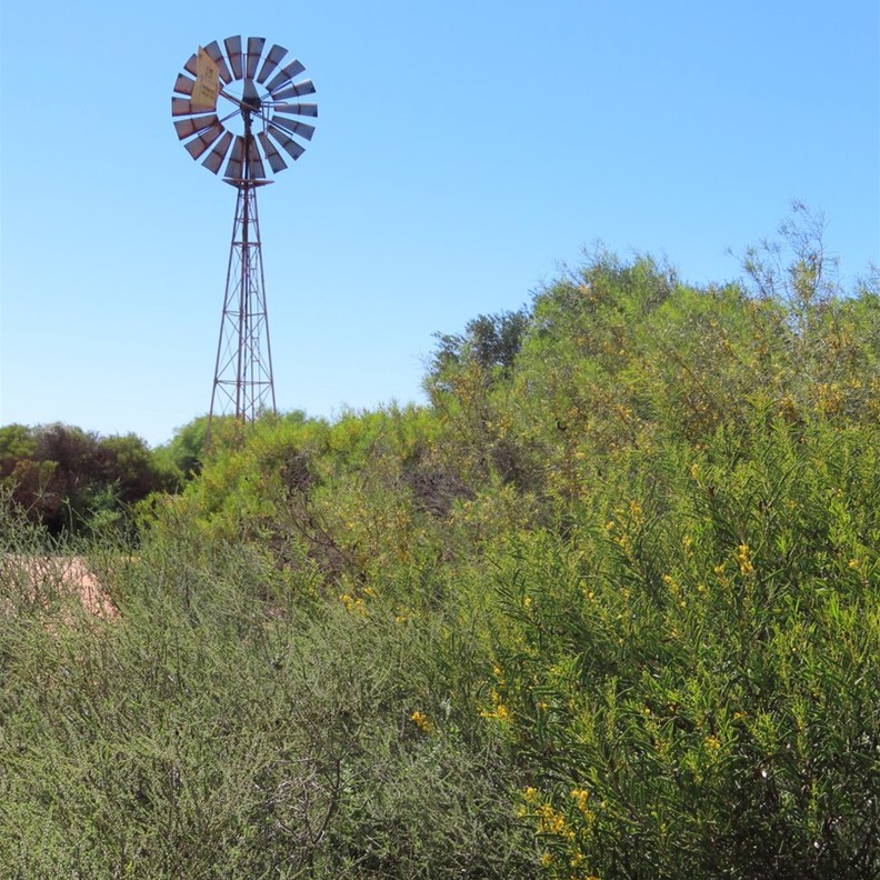 Peron Homestead 2
