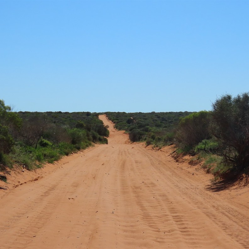 Road to Cape Peron