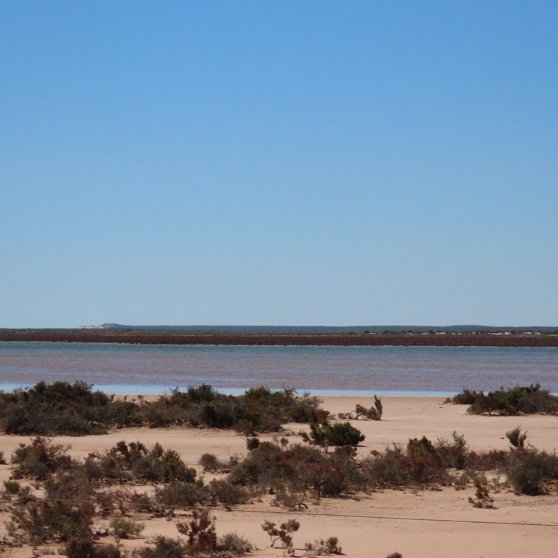 Road to Cape Peron 4