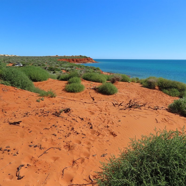 Cape Peron