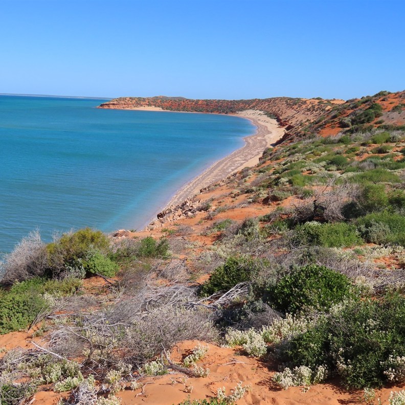 Skipjack Point 3