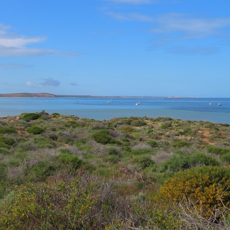 Denham Lookout 2